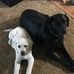 Jeff Korb - Facebook
