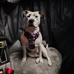 Jeff Kuck - Facebook
