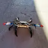 jeffszalkucki545 - @jeffszalkucki545 - TikTok