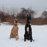 Jeff LaBelle - @daneman1980 - Instagram