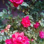 jeff lanham - @kathy.lanham.90 - Instagram