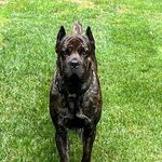 Jeff Lanning - @jeff.lanning.50 - Instagram