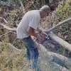 Jeff Large - @jeff.large8 - TikTok