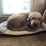 Jeff Laughlin - @jeff3uu7dnxqez - Instagram