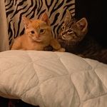 Jeff Lawless - @jeff.lawless.75470 - Instagram