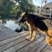 Jeff Leech - Facebook