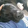 Jeff Leech - @user7716844537406 - TikTok
