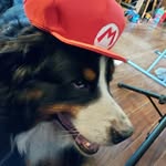 Jeff Lefebvre - @thedailydeveloper - Instagram