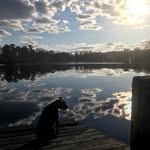 Jeff Lefebvre - @justme123me2 - Instagram