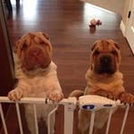 Jeff Leichleiter - @jeffleichleiter - Instagram