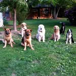 Jeff Liebert Jr - @jeffliebertjr - Instagram