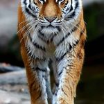 Jeff Liles - @jeff.liles.1884 - Instagram