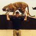 Jeff Lindgren - Facebook