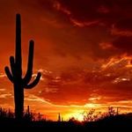 Jeff Lindstrom - @jeffnevada2017 - Instagram
