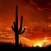 Jeff Lindstrom - Facebook
