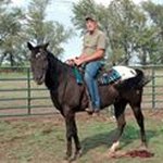 Jeff Lively - @wilfhorseman - Instagram