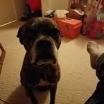 Jeff Livengood - @jeff.livengood.96 - Instagram