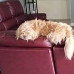 Jeff Locklear - @locklear757 - Instagram