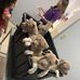 Jeff Locklear - Facebook