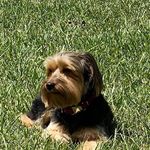 Jeffery Locklear - @tbsdrywall - Instagram