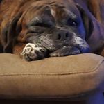 Jeff Lofton - @lofton7887 - Instagram