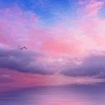 Jeff Lovato - @jeff.lovato.372 - Instagram