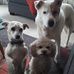 Jeff Lovato - Facebook