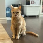 Jeff Luo - @jeff.y.luo - Instagram