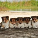 Jeff Luther - @jeff.luther.9655 - Instagram