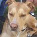 Jeff Lyons - Facebook