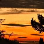 Jeff Madigan - @jeff.madigan.315 - Instagram