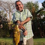 Jeff Mahoney - @jeff_mahoney_ - Instagram