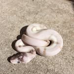 Jeff Malcolm - @jeffmalcolm80 - Instagram