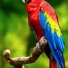 Jeff Maly - @user09533766 - TikTok