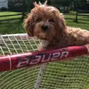 jeff - @jeff.manto - TikTok