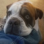 Jeff Mares - @jeff.c.mares - Instagram