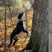 Jeff Marrs - Facebook