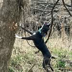 Jeff Marrs - @marrs_jeff - Instagram