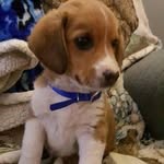 Jeff Mattingly - @bump237 - Instagram