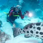 Jeff Mattson - @jlmattson.social - Instagram