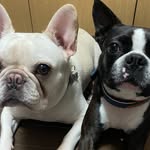 🐾…Jeff＆Mauro…🐾 - @jm.22.jm - Instagram