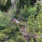 Jeff Maynard - @jiffins - Instagram