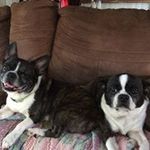 Jeff Maynard - @jeffmaynard6246 - Instagram