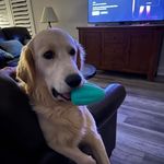 Jeff Maynard - @jeff.maynard83 - Instagram
