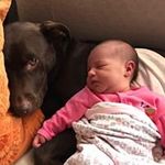 Jeff Maynard - @jeffreyjmaynard - Instagram