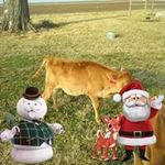 Jeff Mccain - @mccain4644 - Instagram