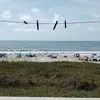 jeffmcclintock10 - @jeffmcclintock10 - TikTok