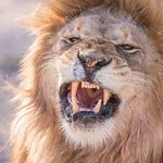 Jeff McCray - @skweegeeman - Instagram