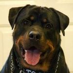 Jeff McCrea - @jeff.mccrea - Instagram
