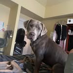 Jeff McDougall - @blazrfreek - Instagram